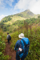 Fototapeta na wymiar Traveller trekking on Doi Luang Chiang Dao Mountain, Chiang mai,