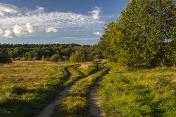 The road through the field, autumn.