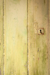 Simple light green textured background