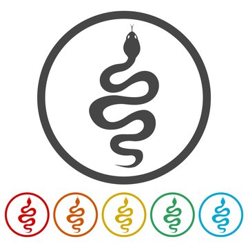 Snake icon set - vector