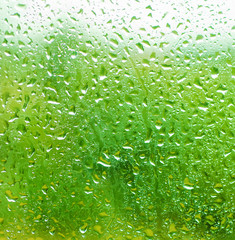 Rainy wet green eco seasonal summer natural blurred background with water drops