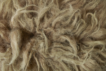 A full page close up of brown furry background texture