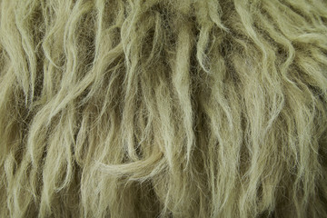 A full page of neutral toned fluffy fabric texture