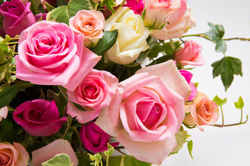 バラの花アップ