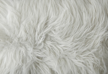 A full page of white fluffy fabric texture