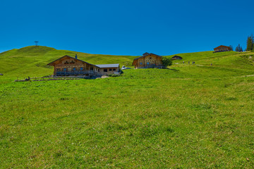 Fototapeta na wymiar Abstract Mountain Meadow in Austrian Alps