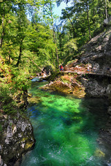 The famous Vintgar gorge with wooden path near lake Bled, Slovenia