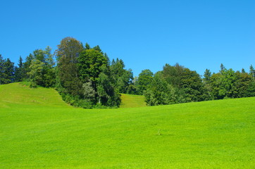 Fototapeta na wymiar Sanfte Hügel im Allgäu