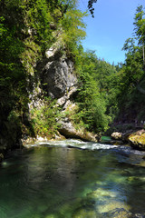 Naklejka na ściany i meble The famous Vintgar gorge with wooden path near lake Bled, Slovenia