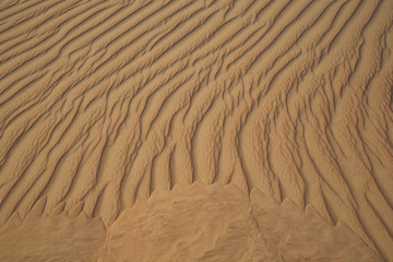 sand dunes of Empty Quarter desert