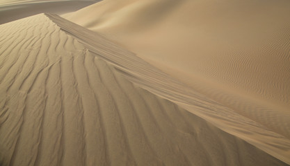 sand dunes of Empty Quarter desert