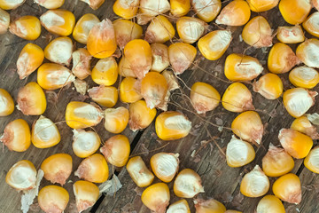 Ripe corn on the wooden background