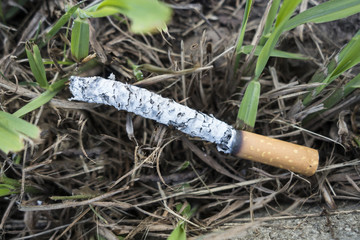 COLILLA DE CIGARRO CONSUMIDO CON CENIZA LARGA