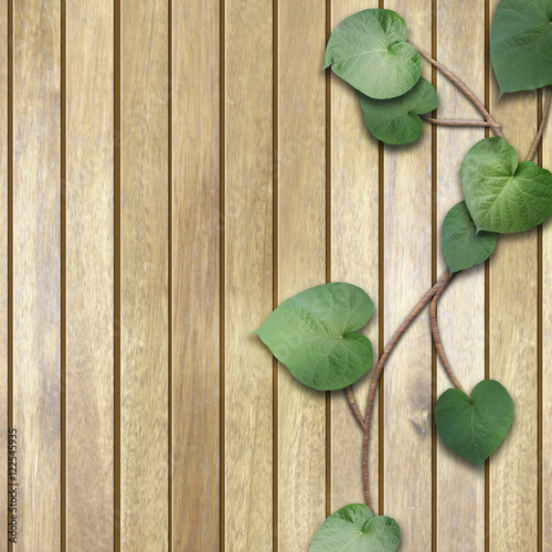 "natural wooden background with green leaves" Stock photo and royalty-free images on Fotolia.com