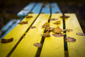 Fallen Leaves on Picnic Table - 122546709