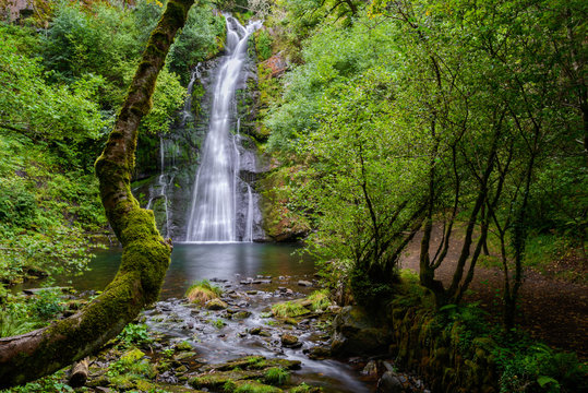Waterfall and mossy tree