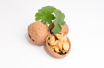 walnuts isolated with leaf