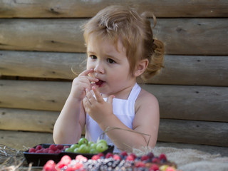 Little boy eats red raspberry