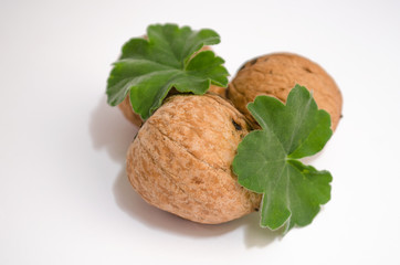 walnuts isolated