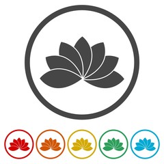 Set of leaves icon