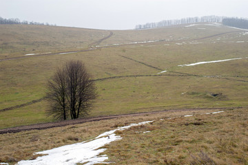 The beginning of winter in the hills.