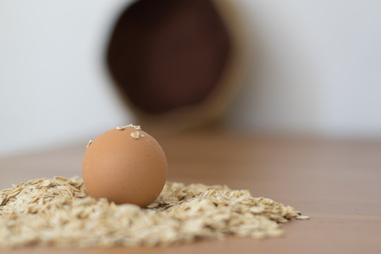 hen's egg lying on a wooden table in oats