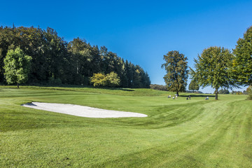 Grüner Golfplatz mit Wald und sandigem Bunker