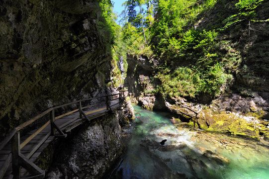 The famous Vintgar gorge with wooden path near lake Bled, Slovenia