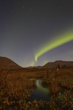 Aurora over unnamed stream near Whitehorse, Yukon.