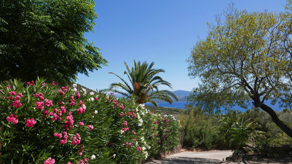 Obraz premium été en Corse du sud
