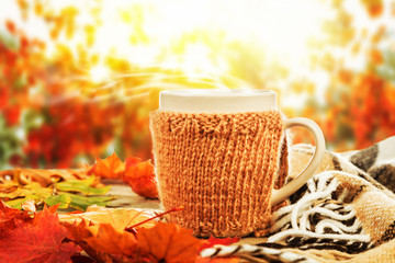 Naklejka na ściany i meble Cup of hot drink on the beautiful autumn background