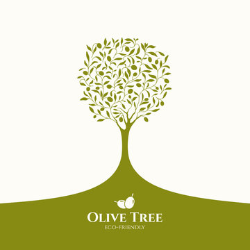Olive label, olive logo design. Olive tree
