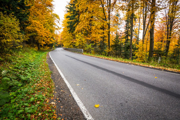 Autumn landscape with road and beautiful colored trees