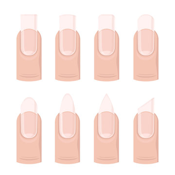 Vector set of different nails shape, manicure style. Beauty spa salon illustration with fingernails for women and girls