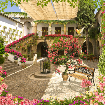 Garden with flowers, ivy and parrot at old city