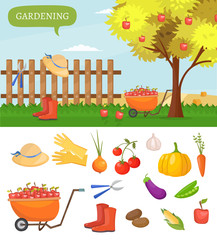 Garden colorful designs elements vector farm illustration icon set of different gardening equipment, tools, vegetables and plants. 