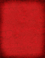 King Cobra Background Texture