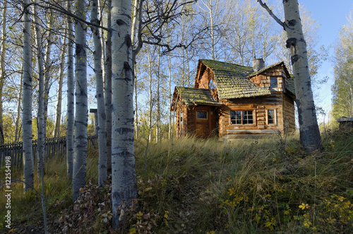 funky log cabin 83 mile house cariboo region british columbia