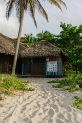 House on the beach surrounded by palm trees and sand