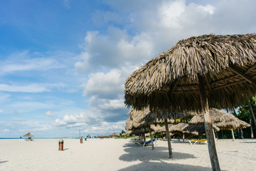 Sun umbrellas covered with palm branches