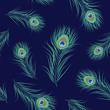 Peacock feather seamless pattern. Vector illustration