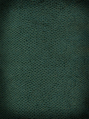 King Cobra Background Texture