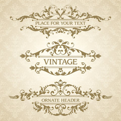 Vector set of vintage calligraphic design elements