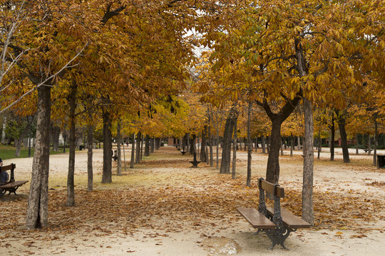 oto&ntilde;o