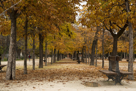oto&ntilde;o