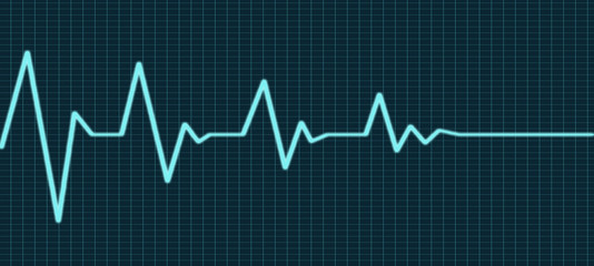 Heart beat line end of life