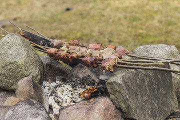 Obraz premium shish kebab cooked on a campfire