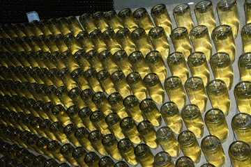 Obraz premium Wine cellar (Italy, Franciacorta)
