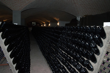 Wine cellar (Italy, Franciacorta) - obrazy, fototapety, plakaty