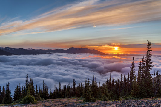 Scenic view of Olympic National Park covered with clouds at sunset